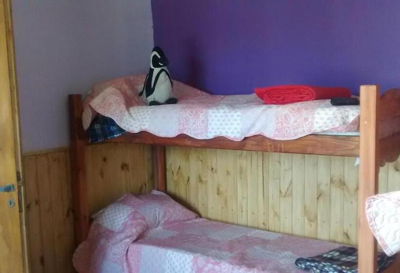 בקתה סטנדרטית, Max