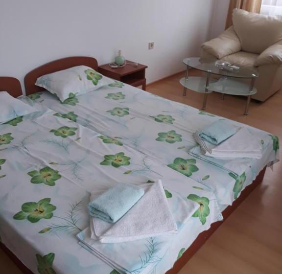 اتاق استاندارد, Guest House Vasilevi