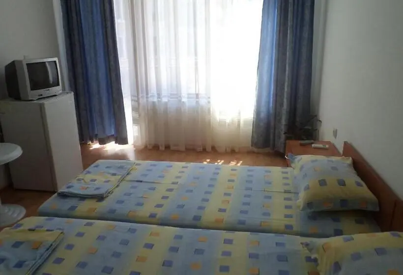 اتاق استاندارد, Guest House Vasilevi