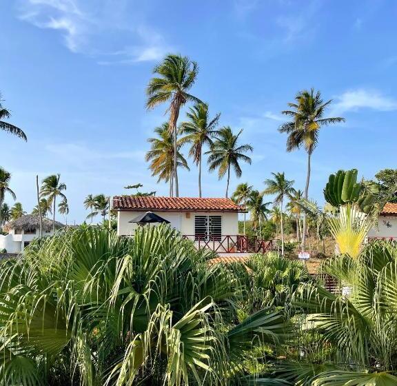 اتاق استاندارد, 21 Palms