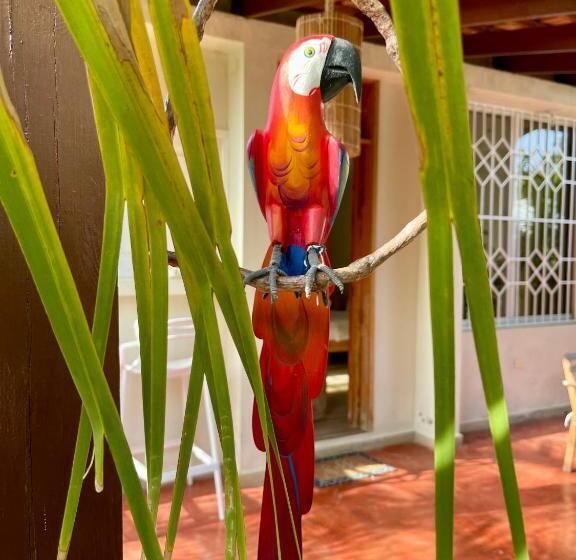 استودیوی استاندارد, 21 Palms