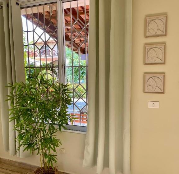 استودیوی استاندارد, 21 Palms