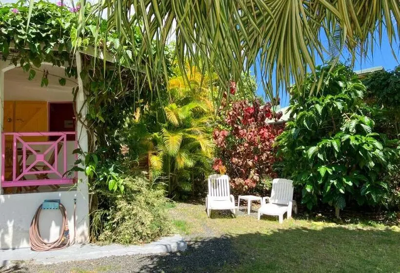 استودیوی استاندارد, Gîte Zandoli Koko