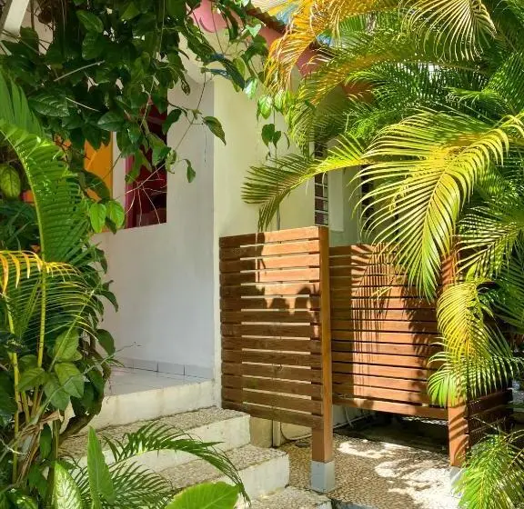 استودیوی استاندارد, Gîte Zandoli Koko