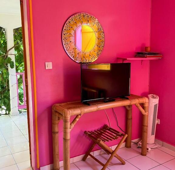 استودیوی استاندارد, Gîte Zandoli Koko