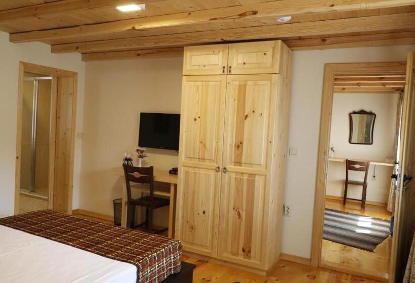 غرفة قياسية, Guest House Epochs Since 1871