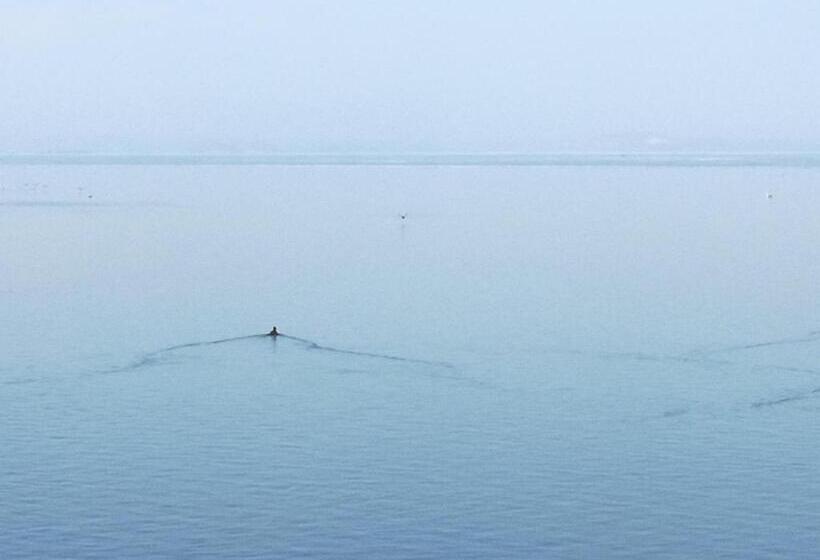 آپارتمان 2 خوابه, Apartment Dedine Golubac