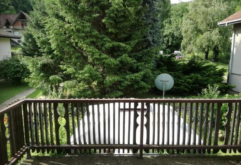 آپارتمان 2 خوابه, Apartment Dedine Golubac