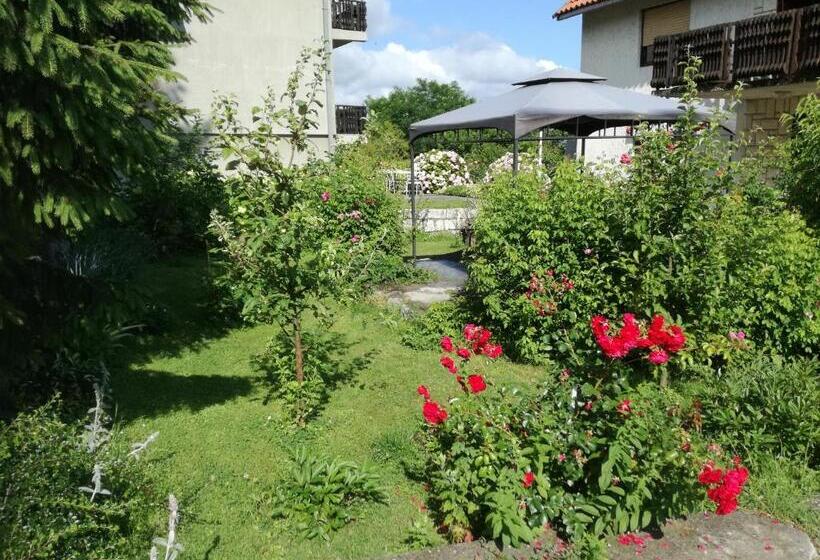 آپارتمان 1 خوابه همکف, Apartment Dedine Golubac