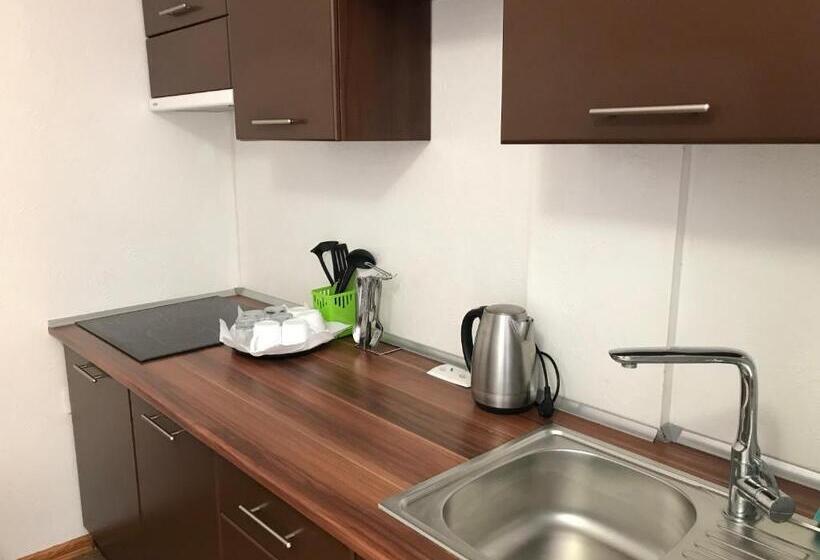 Apartament 1 Dormitor Deluxe, Shpinat