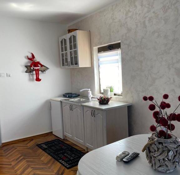 آپارتمان 1 خوابه با تراس, Guest House Cvoro