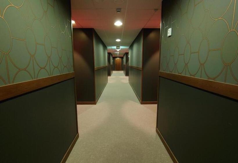 חדר סטנדרט, Guossi