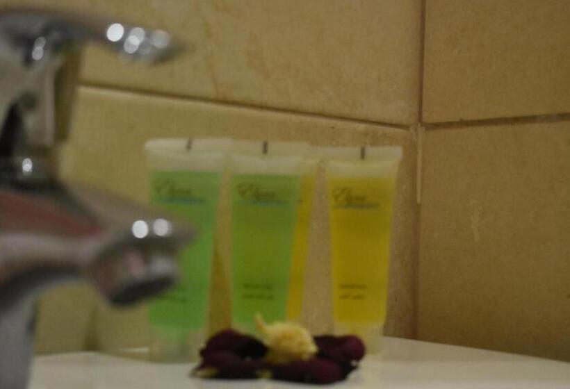 اتاق لوکس با تخت بزرگ, Baden Hotel Suites