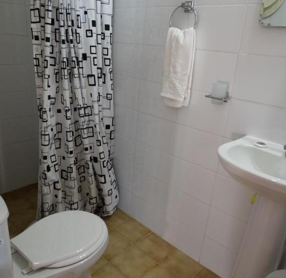 家庭间, Apart Hotel Antu De Villarrica