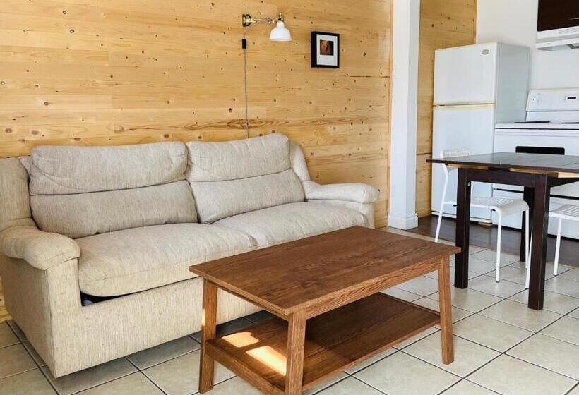 １階の１ベッドルームアパートメント, Attitude Montagne