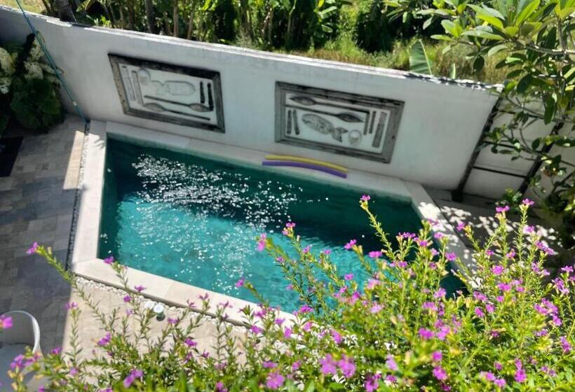 スーペリアールーム, Canggu   Pererenan Guesthouse  Abalihouse