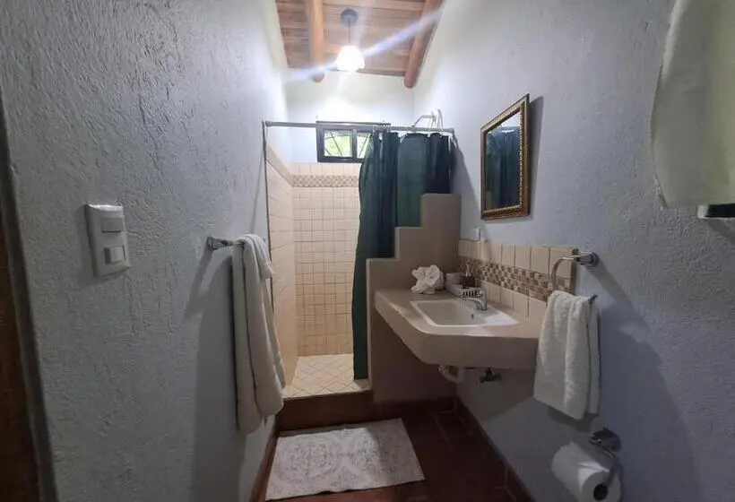 Standard-studio, Casa Rosada Nosara
