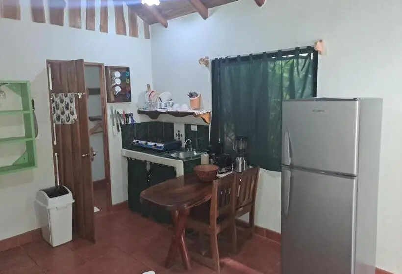Standard-studio, Casa Rosada Nosara