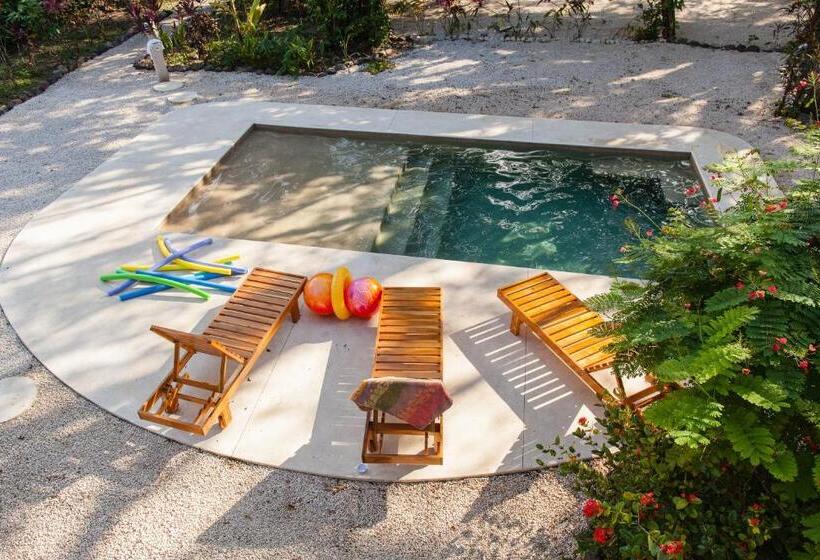 수피리어 스튜디오, Casa Rosada Nosara