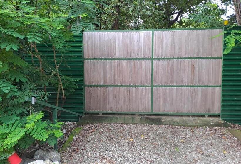 수피리어 스튜디오, Casa Rosada Nosara