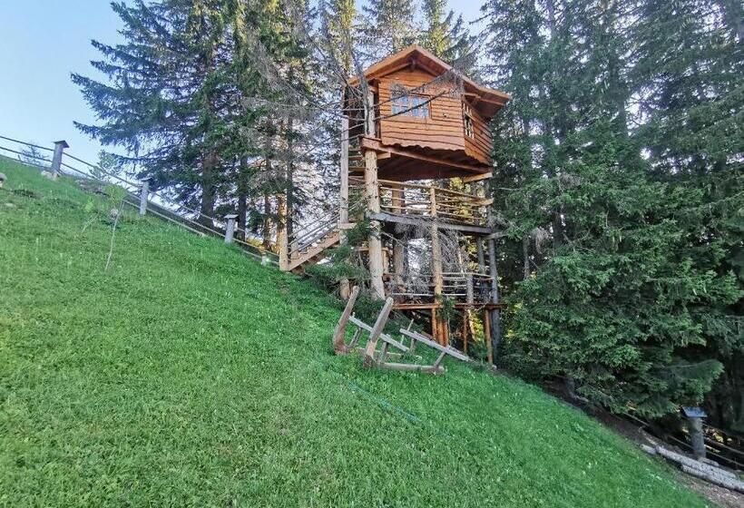 آپارتمان 1 خوابه, Guesthouse Planinarski Dom Neviđen'o