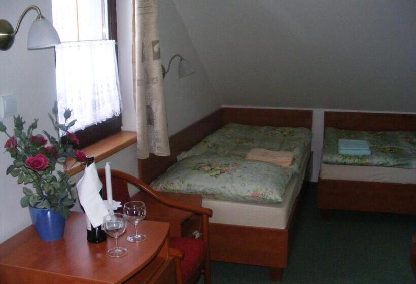 스탠다드 싱글 룸, Penzion Fantasy   Restaurant