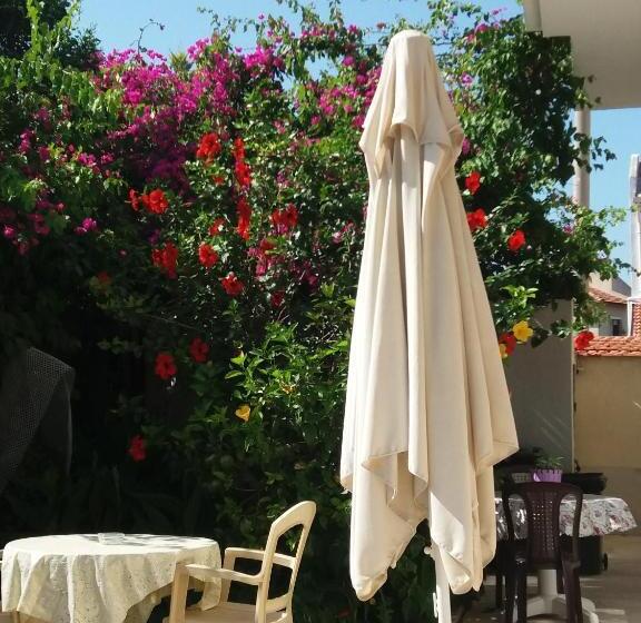 Apartamento 1 Dormitório Vista Jardim, Cizmeci Apart