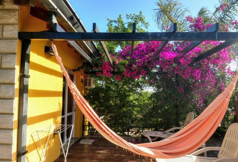 شقة غرفة واحدة, Costas Del Paraiso