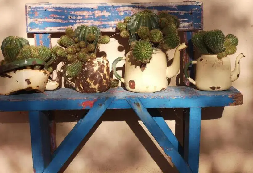 بانگلوی استاندارد, Terra Rouge Guestfarm & Sonstraal Farmhouse