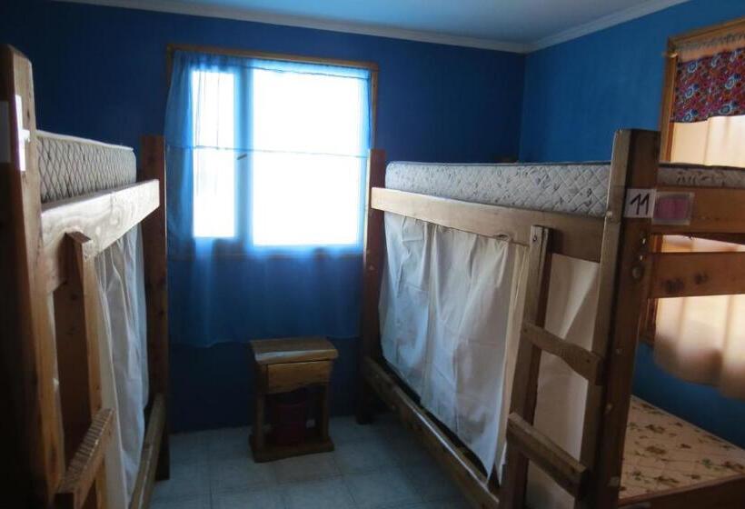 ルームシェアのワンベッド, Ankatu Hostel