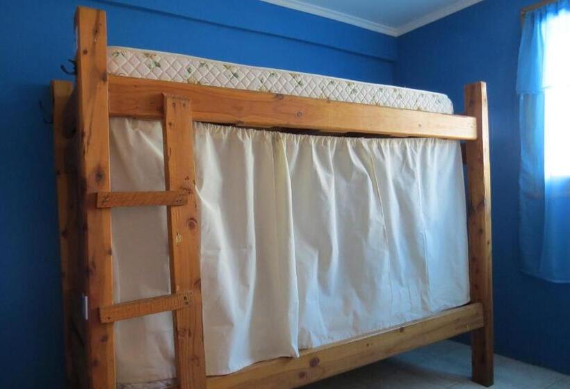 ルームシェアのワンベッド, Ankatu Hostel