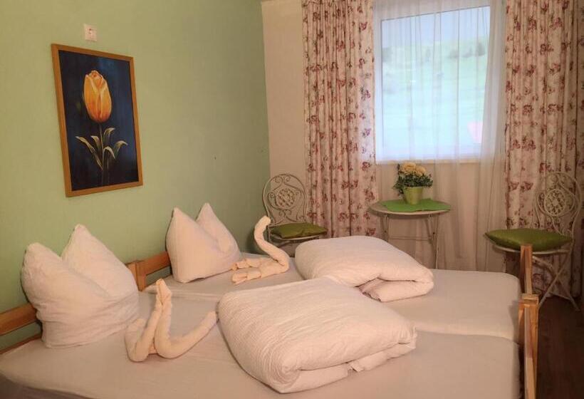 Апартаменты 2 Спальни, Ibex Hostel
