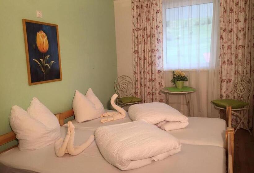 Номер Стандарт Совместная Ванная, Ibex Hostel
