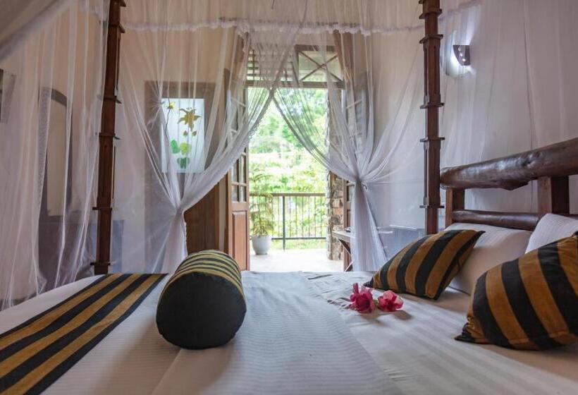 标准间, Shadow Inn Ella