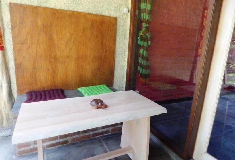 חדר סופריור עם טרסה, Sudi Guest House