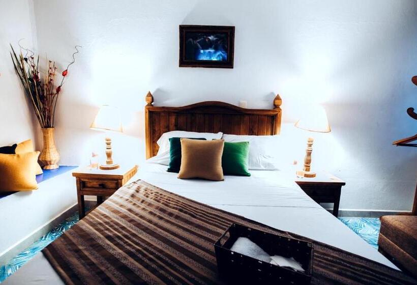 标准房带园景, Hostal Plaza Central