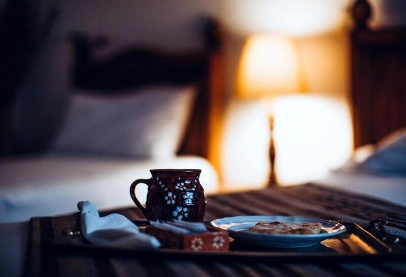 标准房带园景, Hostal Plaza Central