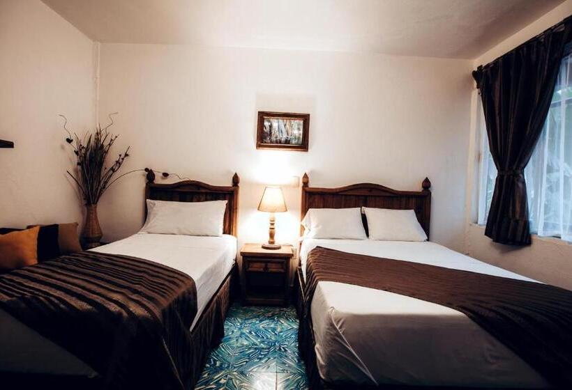 غرفة قياسية مطلّة علي الحديقة, Hostal Plaza Central