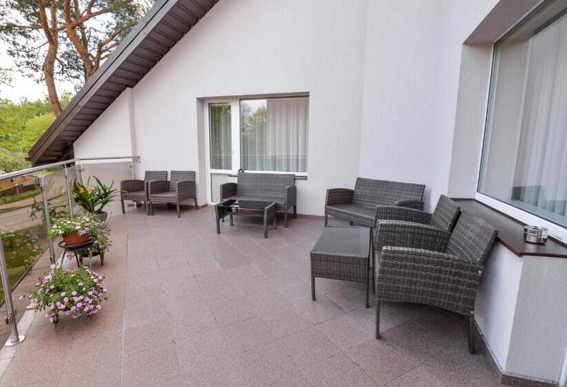 کلبه ییلاقی سوپریور یک خوابه, Poilsis Prie Dineikos Parko