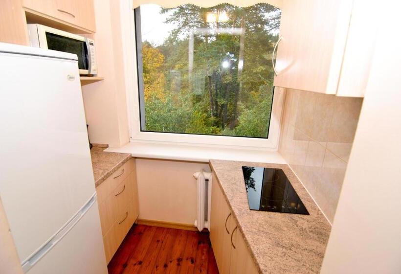 اتاق استاندارد چهار تخته, Poilsis Prie Dineikos Parko