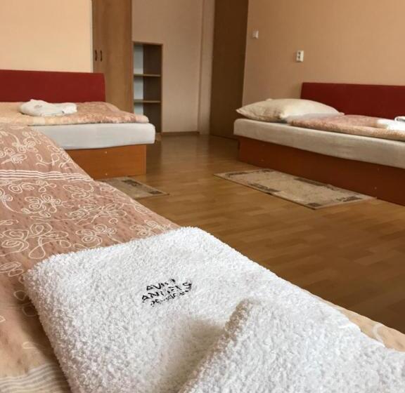 Семейный Номер, Pension Avio Angels