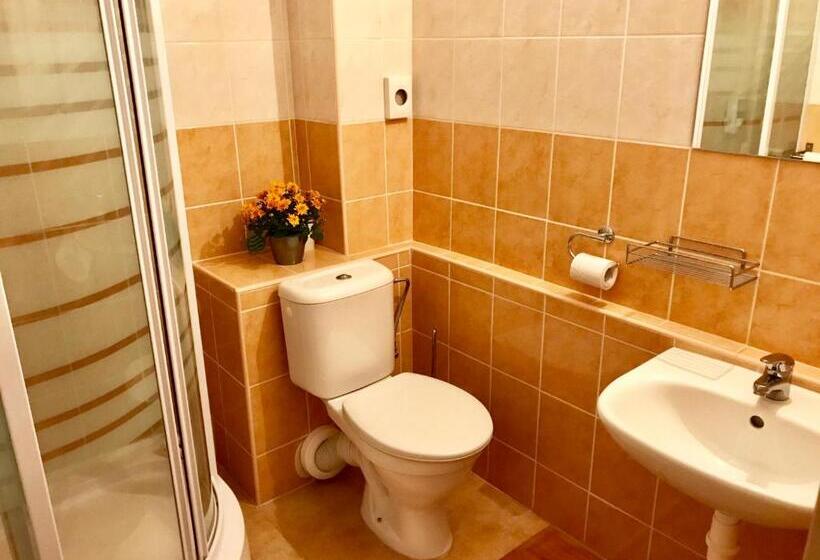 Номер Стандарт, Pension Avio Angels