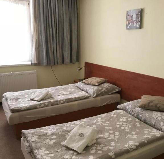 Номер Стандарт, Pension Avio Angels