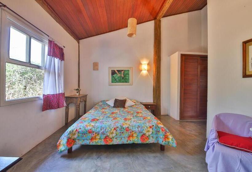 غرفة قياسية, Casa Estrelada