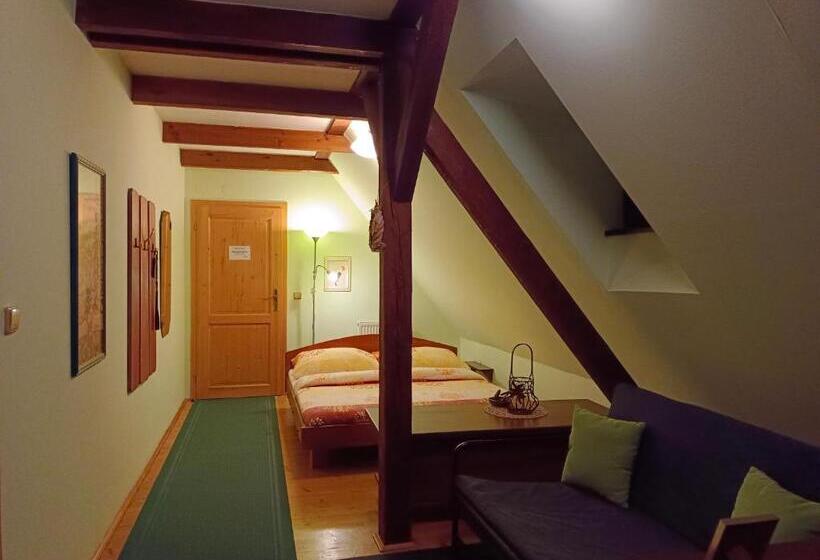 Standardrum Flodutsikt, Guest House Olšakovský