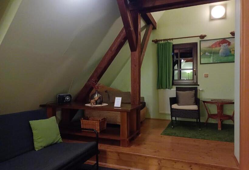 Номер Стандарт Вид на Реку, Guest House Olšakovský