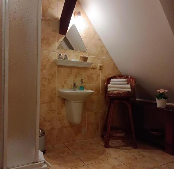 Номер Стандарт Вид на Город, Guest House Olšakovský