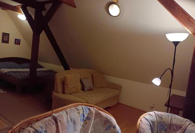 Standardrum Stadsutsikt, Guest House Olšakovský