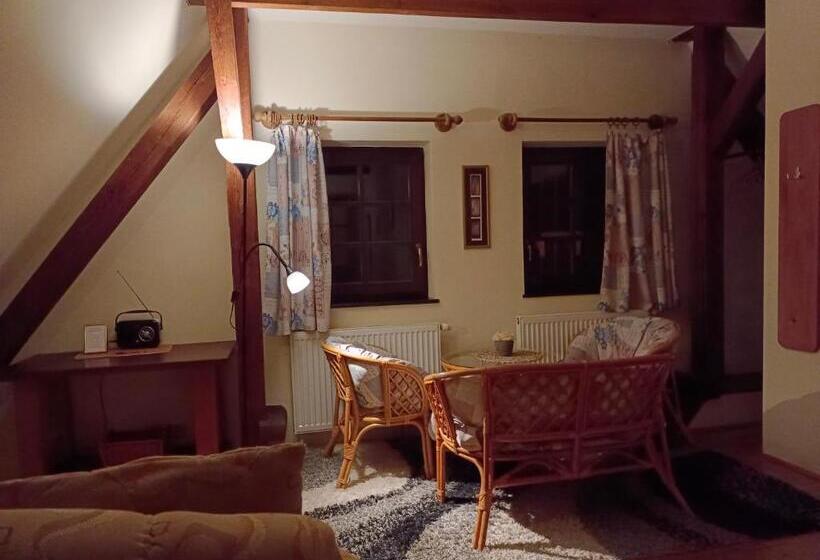 Standardrum Stadsutsikt, Guest House Olšakovský