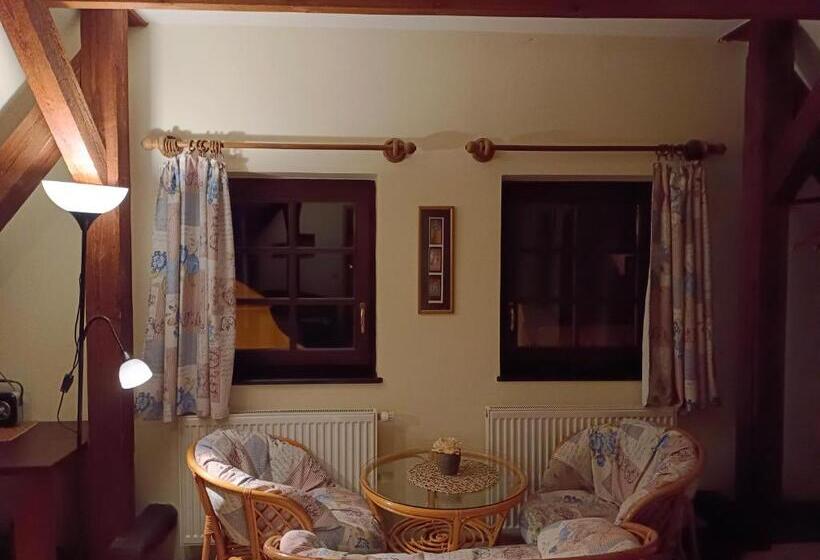 Standardrum Stadsutsikt, Guest House Olšakovský